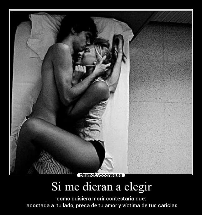 carteles dieran elegir desmotivaciones