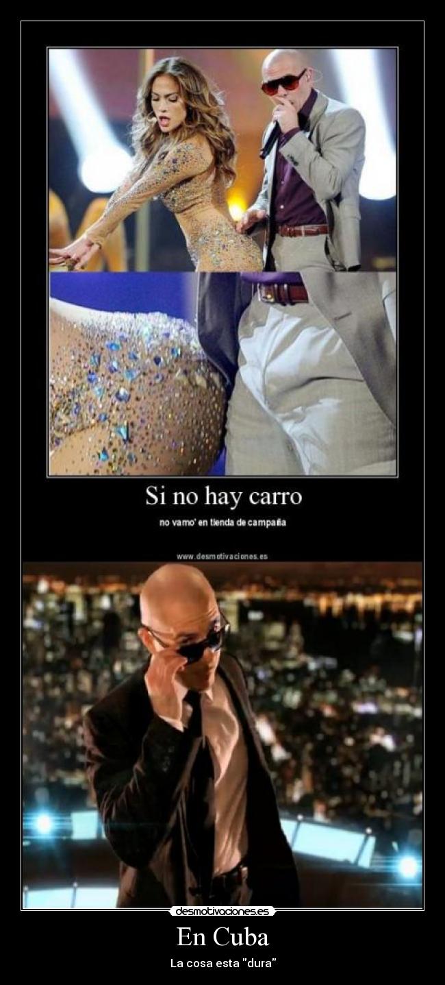 carteles ovejas everywhere internacional love pitbull tomaquetoma desmotivaciones