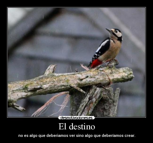 El destino - no es algo que deberiamos ver sino algo que deberíamos crear.