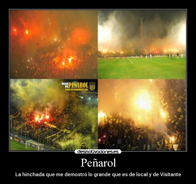 carteles penarol mejor hinchada del mundo desmotivaciones