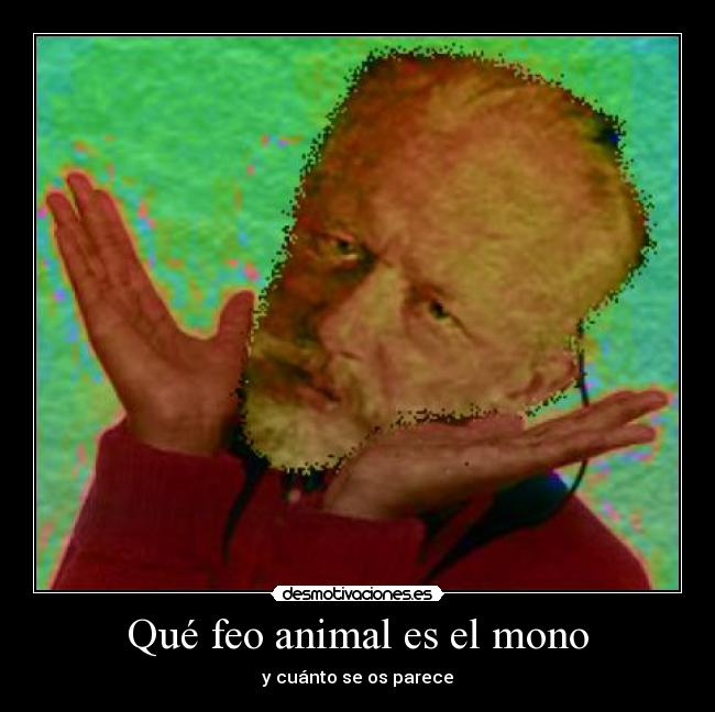 Qué feo animal es el mono - y cuánto se os parece