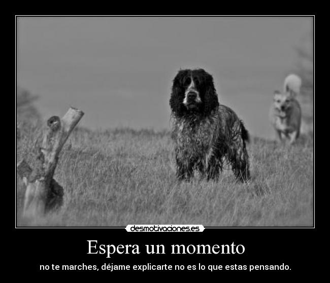 Espera un momento - no te marches, déjame explicarte no es lo que estas pensando.