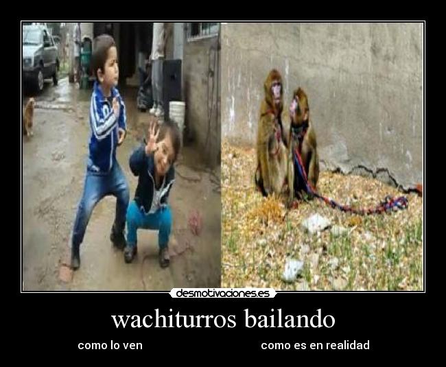 carteles wachiturros desmotivaciones