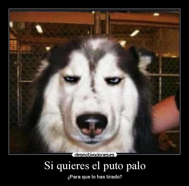 carteles fuck you enserio logico tipico desmotivaciones