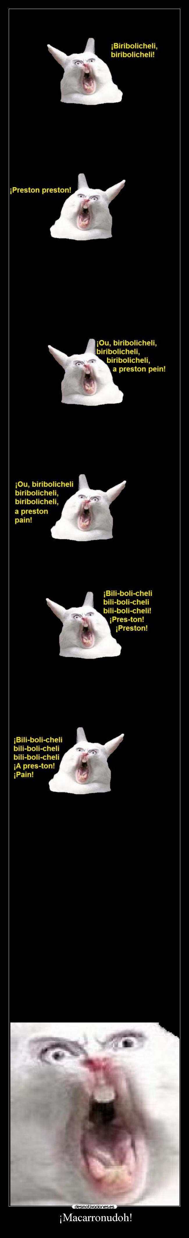 ¡Macarronudoh! -