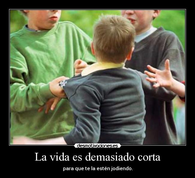 La vida es demasiado corta - 