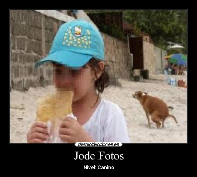 Jode Fotos - Nivel: Canino