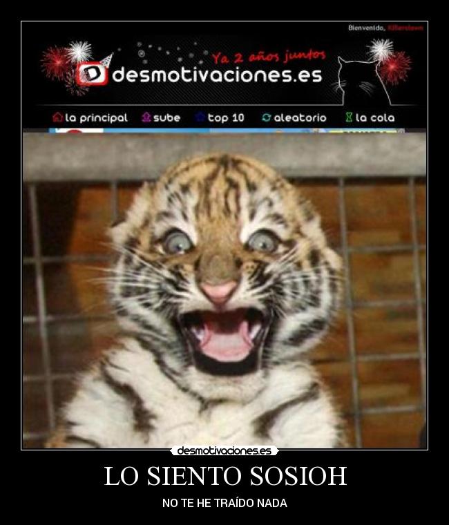 carteles tigretoneh clantigretoneh desollao cara desmotivaciones