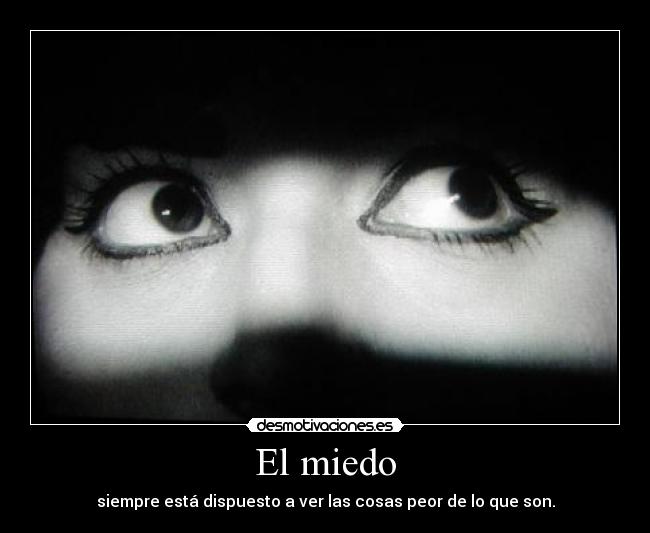 carteles miedo miedo desmotivaciones