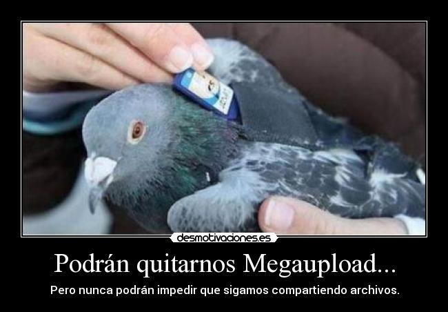 Podrán quitarnos Megaupload... - Pero nunca podrán impedir que sigamos compartiendo archivos.