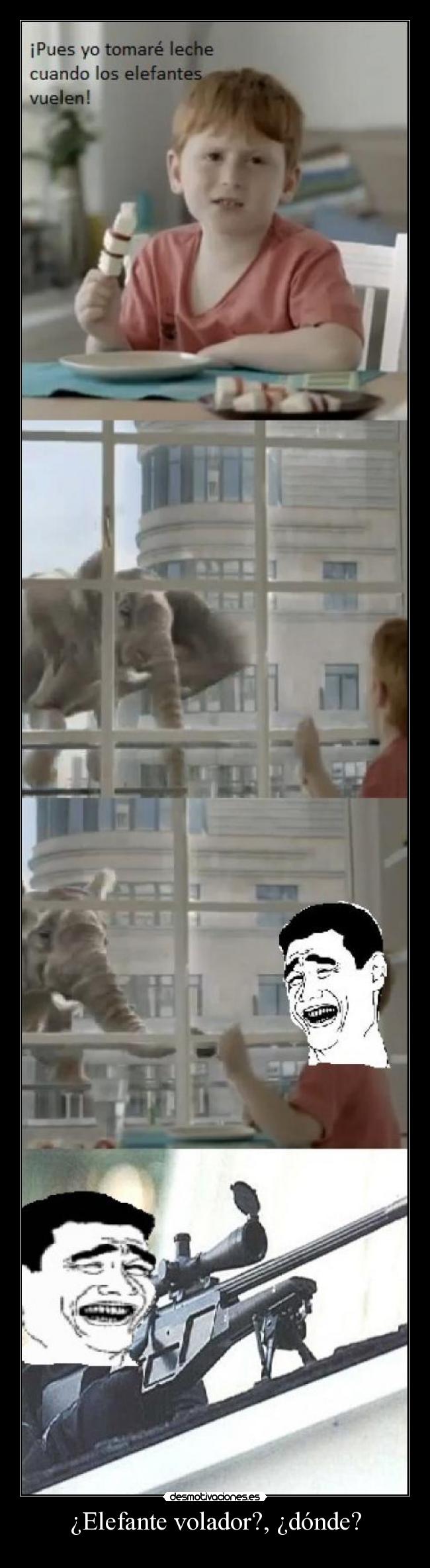 ¿Elefante volador?, ¿dónde? - 