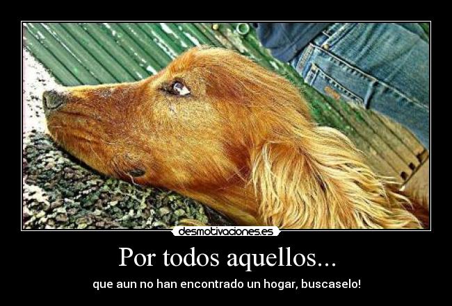 Por todos aquellos... -