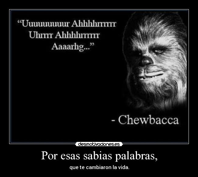 carteles chewaka mejor filosogo desmotivaciones