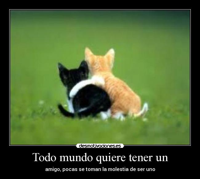Todo mundo quiere tener un -