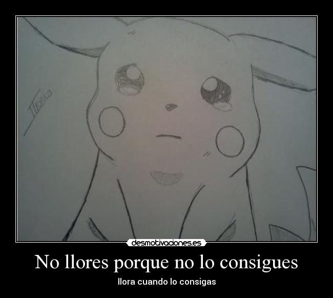 No llores porque no lo consigues -