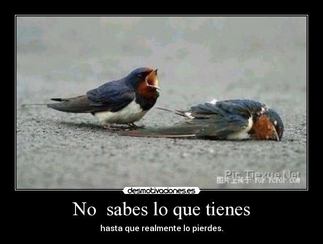 No sabes lo que tienes - hasta que realmente lo pierdes.