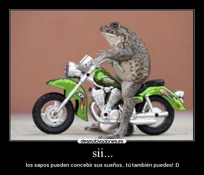 sii... - los sapos pueden concebir sus sueños.. tú también puedes! :D