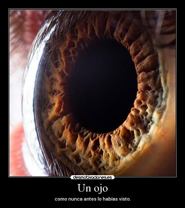 Un ojo -