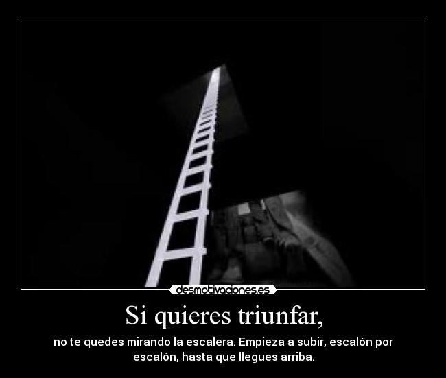 carteles rindas jamas desmotivaciones