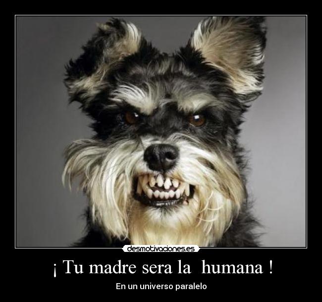 ¡ Tu madre sera la humana ! - En un universo paralelo