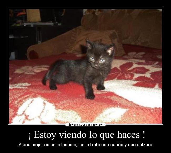 ¡ Estoy viendo lo que haces ! - A una mujer no se la lastima, se la trata con cariño y con dulzura