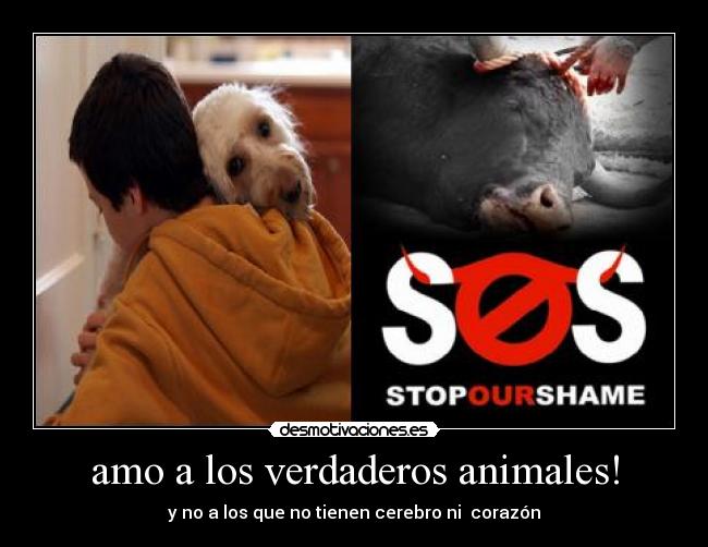 amo a los verdaderos animales! - y no a los que no tienen cerebro ni corazón