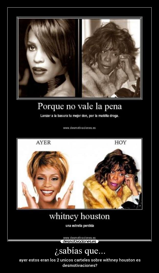 ¿sabías que... - ayer estos eran los 2 unicos carteles sobre withney houston es desmotivaciones?