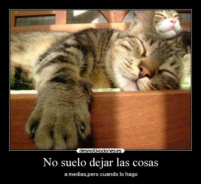 No suelo dejar las cosas - a medias,pero cuando lo hago