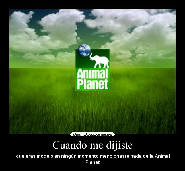 Cuando me dijiste - que eras modelo en ningún momento mencionaste nada de la Animal Planet