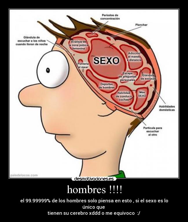 el hombre solo piensa con el cerebro