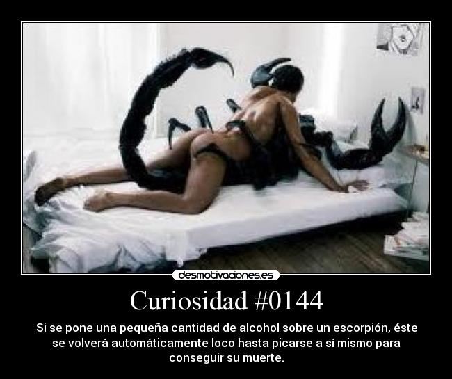 DESCARGAR HAUSE descargar hause: