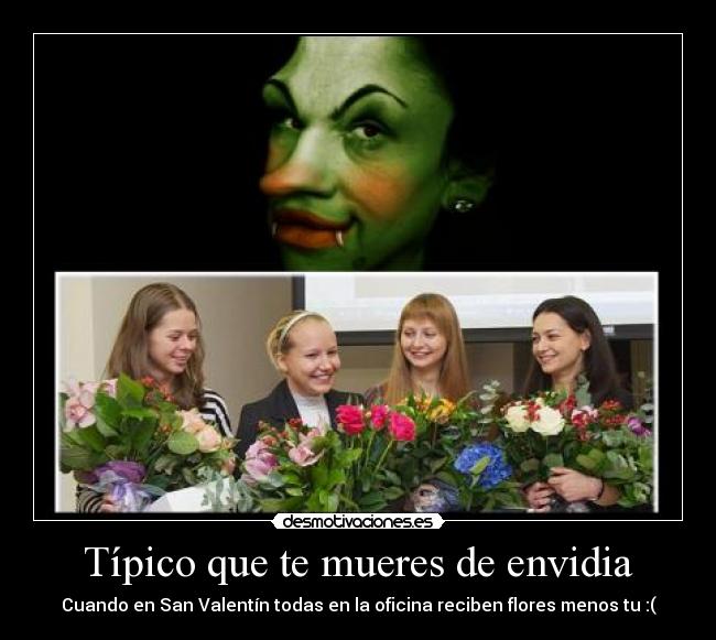 Típico que te mueres de envidia - Cuando en San Valentín todas en la oficina reciben flores menos tu :(