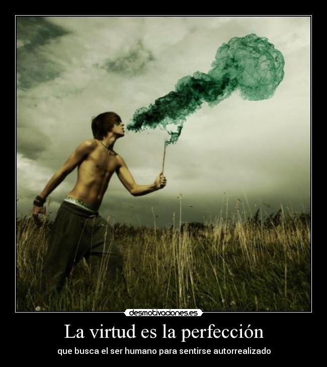 La virtud es la perfección - 