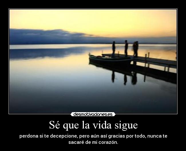 carteles vida muchas gracias por temporal amor desmotivaciones