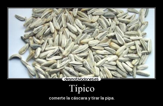 carteles okno son tonterias mias dejadlo xddddddd desmotivaciones