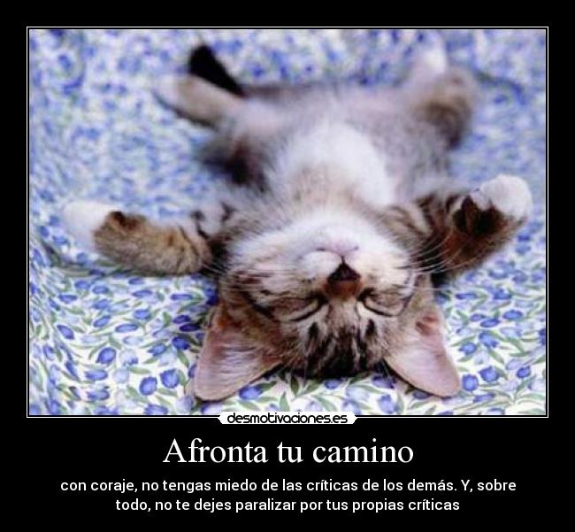 Afronta tu camino - 
