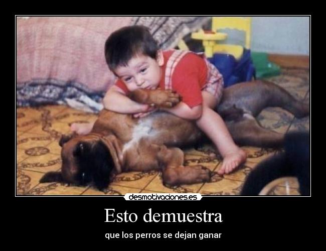 Esto demuestra - que los perros se dejan ganar