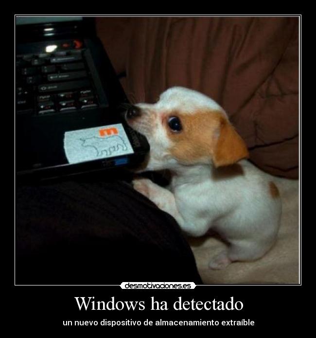 carteles perro pendrive desmotivaciones