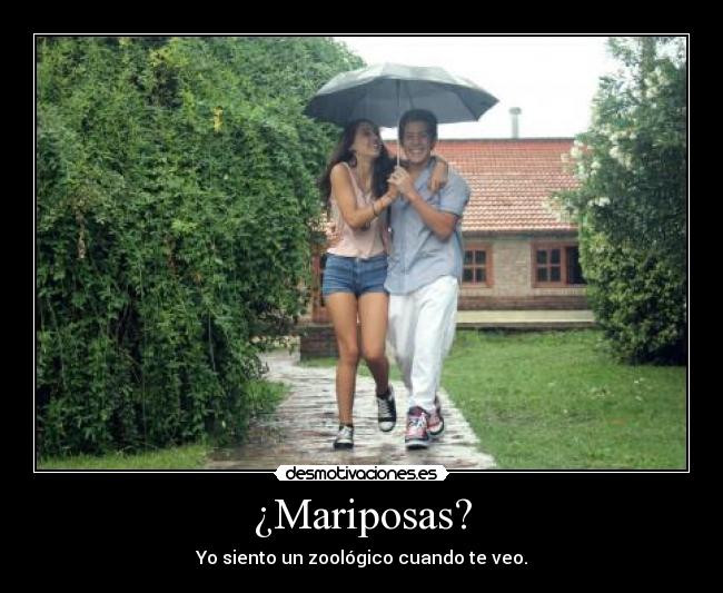 ¿Mariposas? - Yo siento un zoológico cuando te veo.