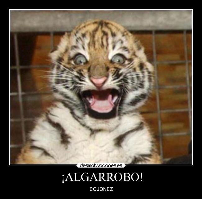 carteles tigretoneh clantigretoneh desollao desmotivaciones