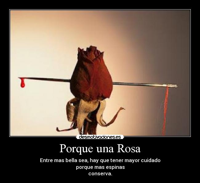 Porque una Rosa - Entre mas bella sea, hay que tener mayor cuidado
porque mas espinas
conserva.
