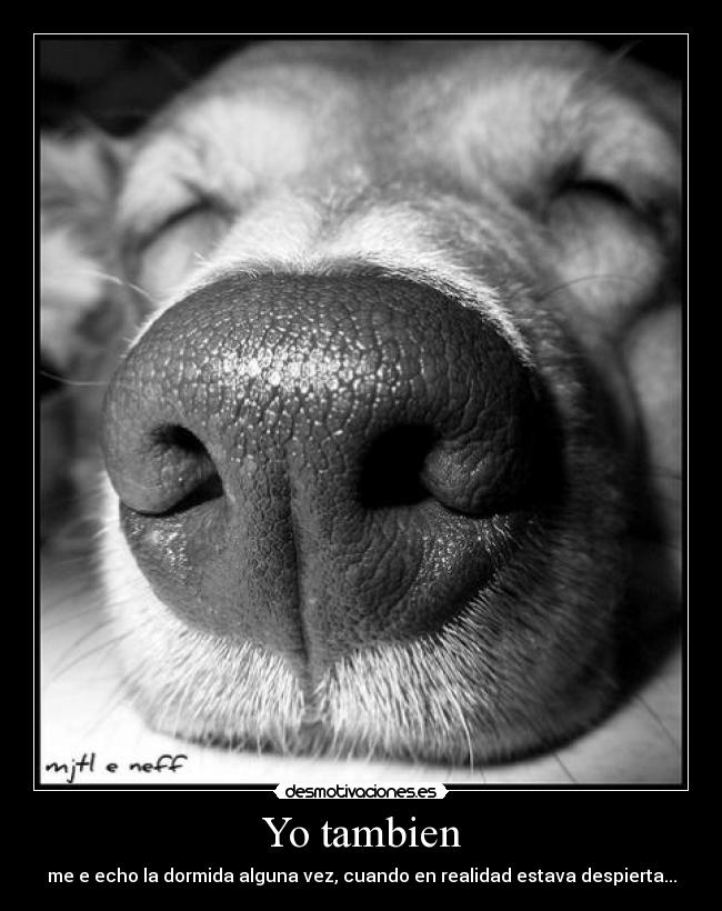 Yo tambien - me e echo la dormida alguna vez, cuando en realidad estava despierta...