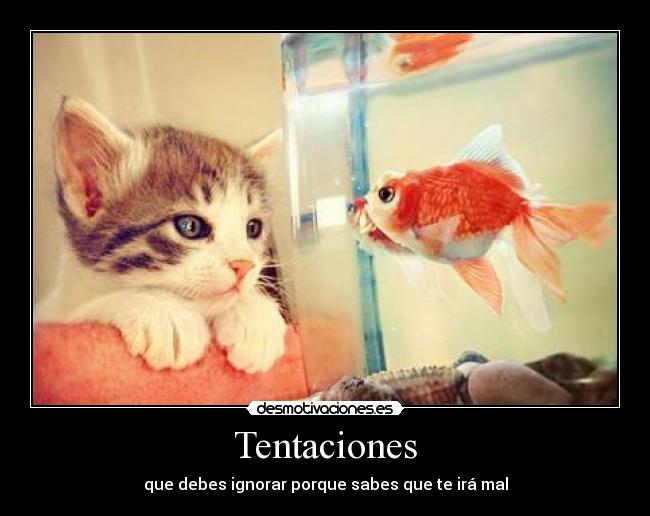 Tentaciones - 