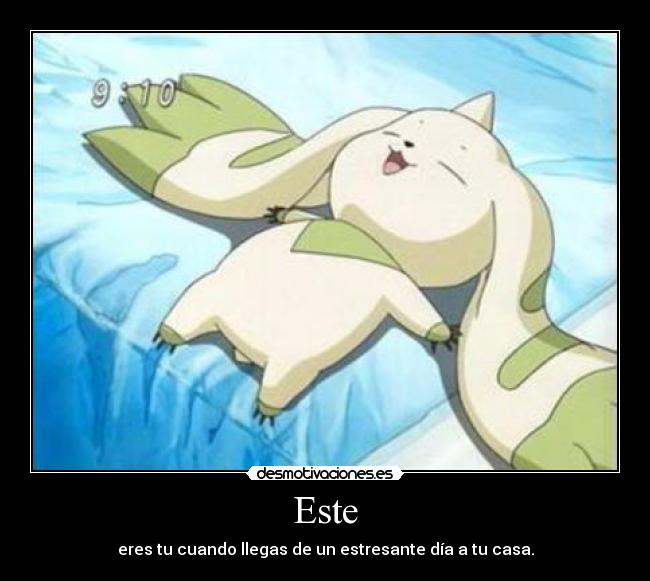 Este - eres tu cuando llegas de un estresante día a tu casa.