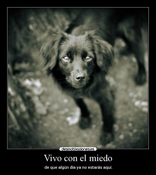 Vivo con el miedo - 