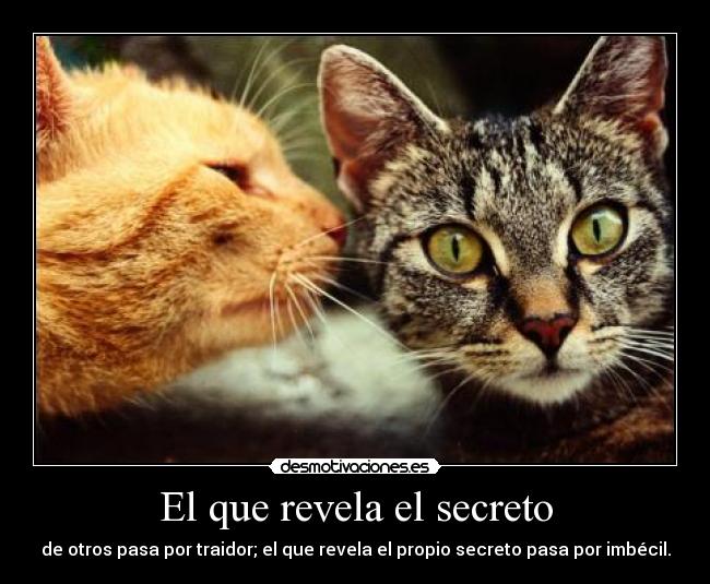 El que revela el secreto - de otros pasa por traidor; el que revela el propio secreto pasa por imbécil.