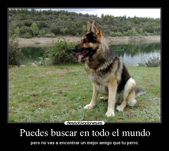 Puedes buscar en todo el mundo - 