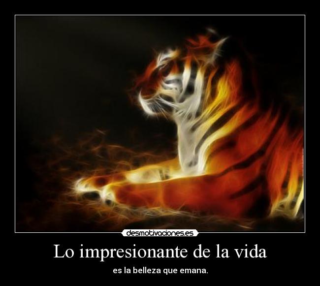 Lo impresionante de la vida - es la belleza que emana.