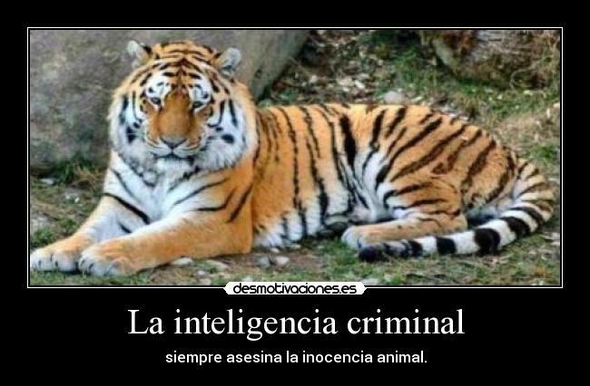 La inteligencia criminal -