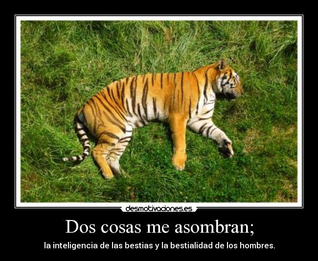 Dos cosas me asombran; - la inteligencia de las bestias y la bestialidad de los hombres.